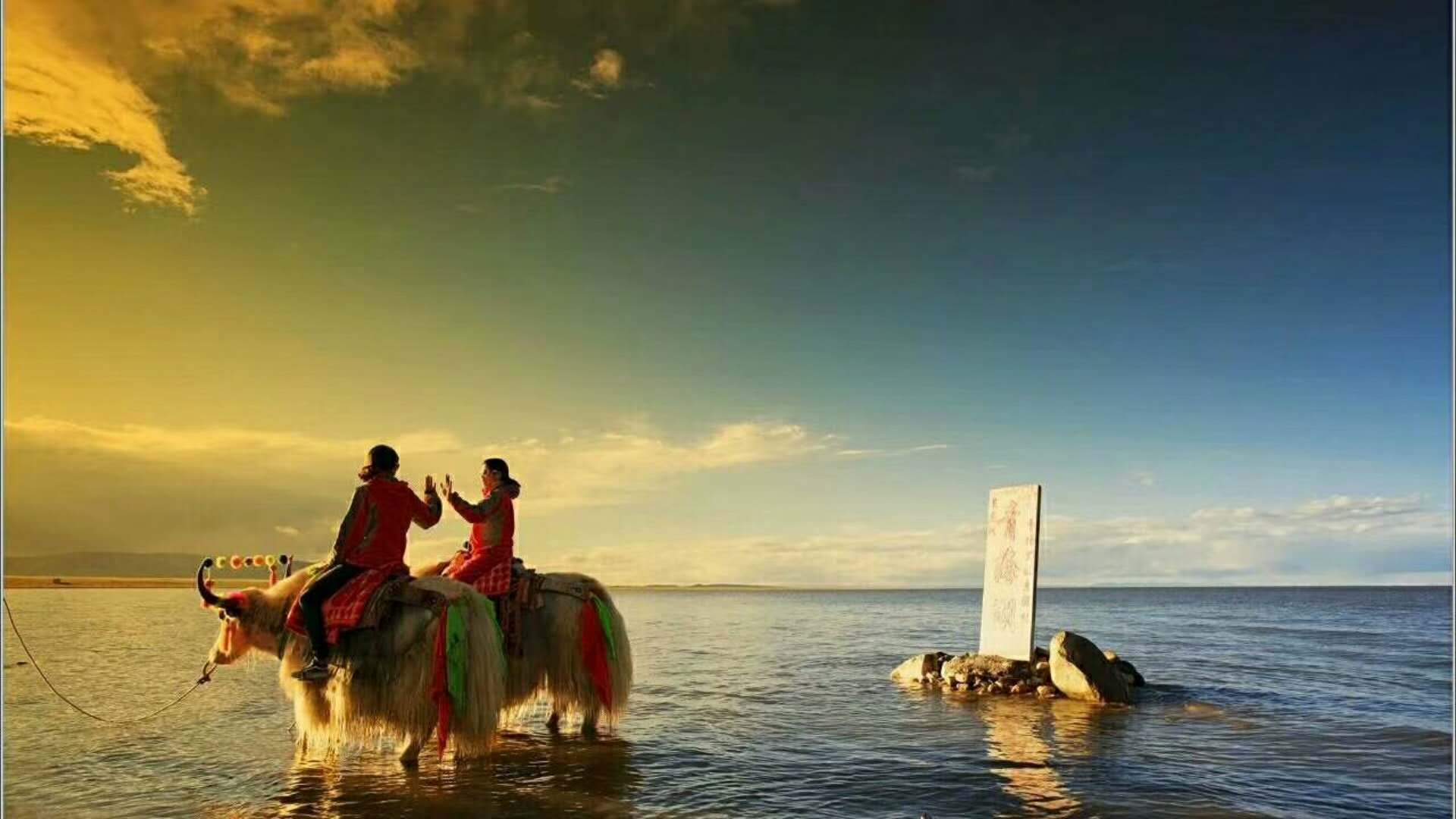 塔尔寺 贵德 青海湖二郎剑 纯玩3日游